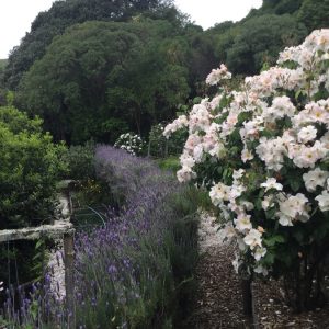 Beaufort House Akaroa 2020 House & Garden Tour