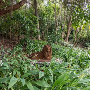 Beaufort House Akaroa Gardens Lion Sculpture