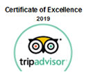 icon trip advisor